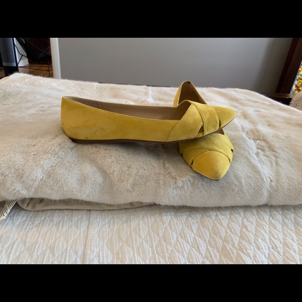 Fun pointed toe flats